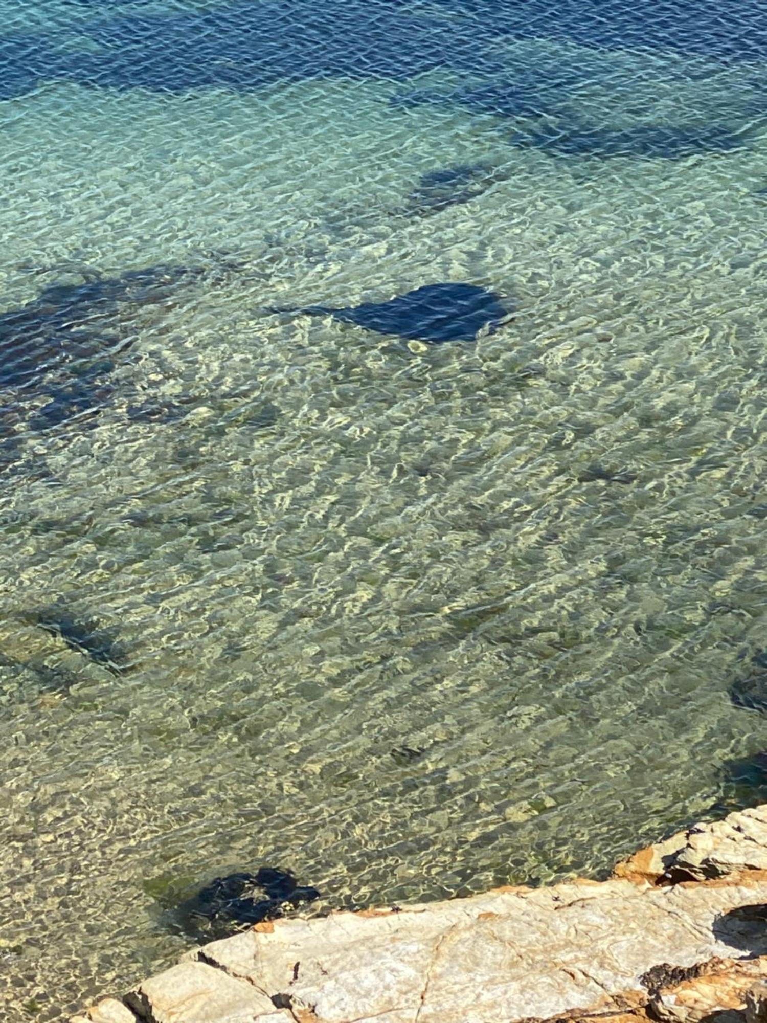 South Arm Beach Buoy Opossum Bay מראה חיצוני תמונה